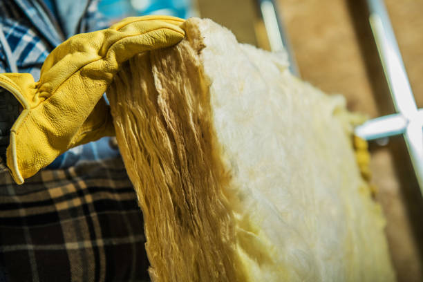 Trusted East Camden, AR Insulation Contractor Experts